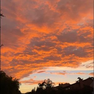 Meet your Posher, Skyla